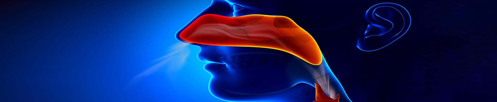 Otolaryngology – Head & Neck Surgery